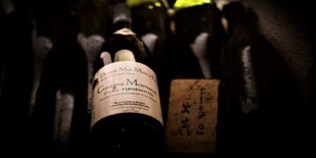 CC_photo_01
