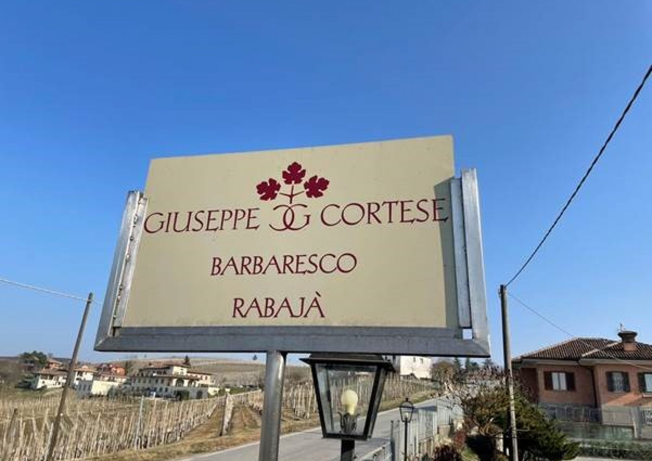 Cortese